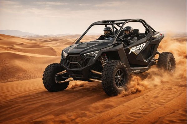 2 Seater – Polaris Buggy – RZR PRO 2022