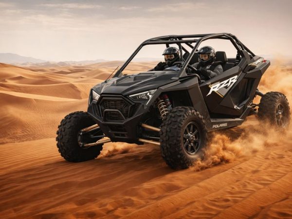 2 Seater – Polaris Buggy – RZR PRO 2022