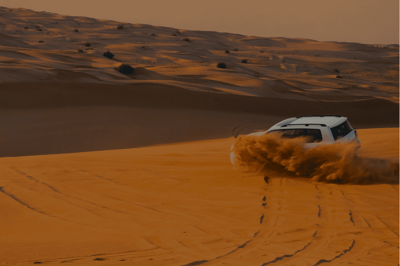 Experience exciting dune bashing on the golden dunes of Abu Dhabi desert