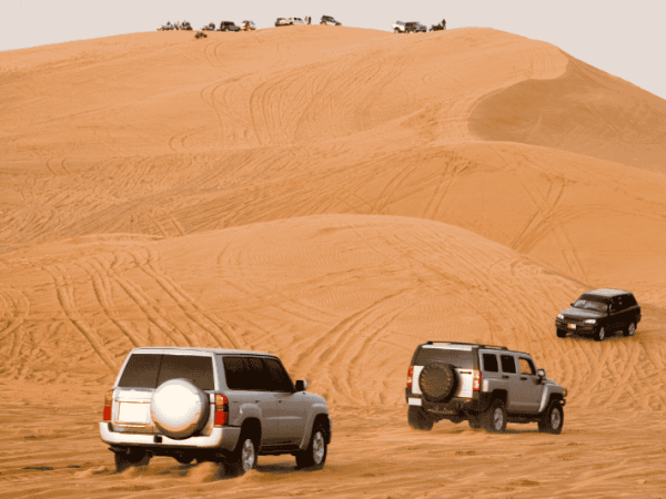 Self Drive Desert Safari – Direct Camp